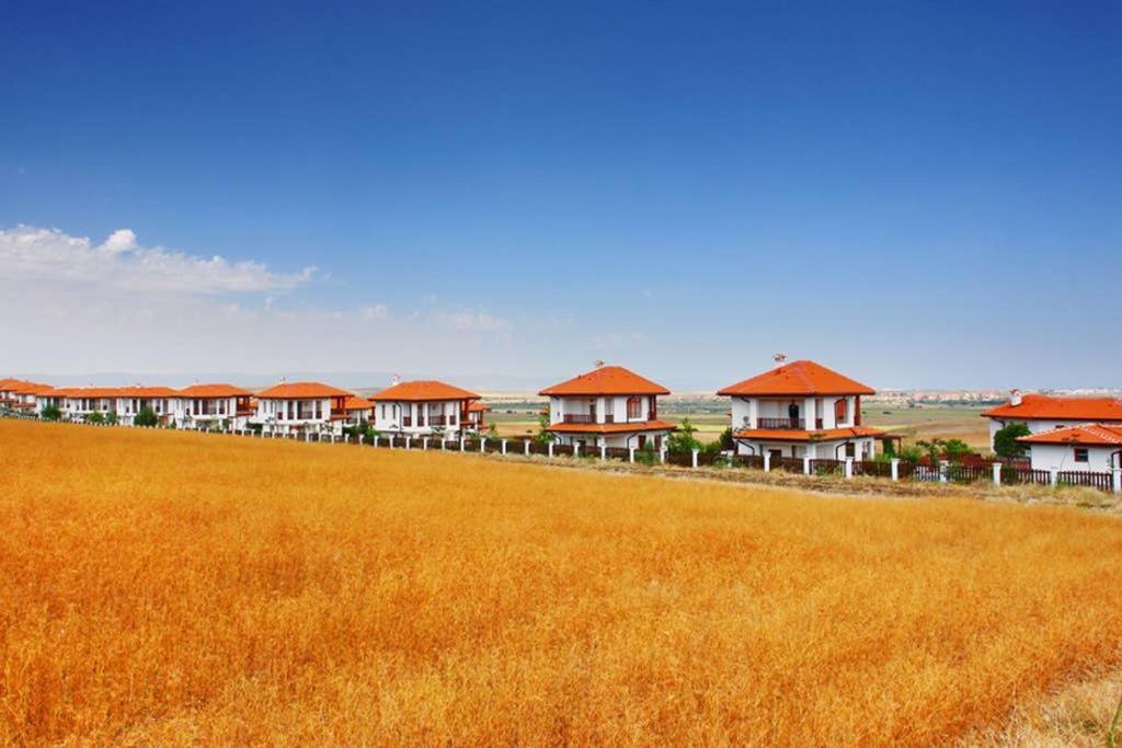 Generaator House Villa Aheloy Dış mekan fotoğraf